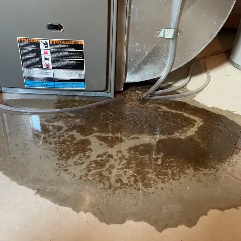 Appliance Leak Cleanup in Kennett, MO